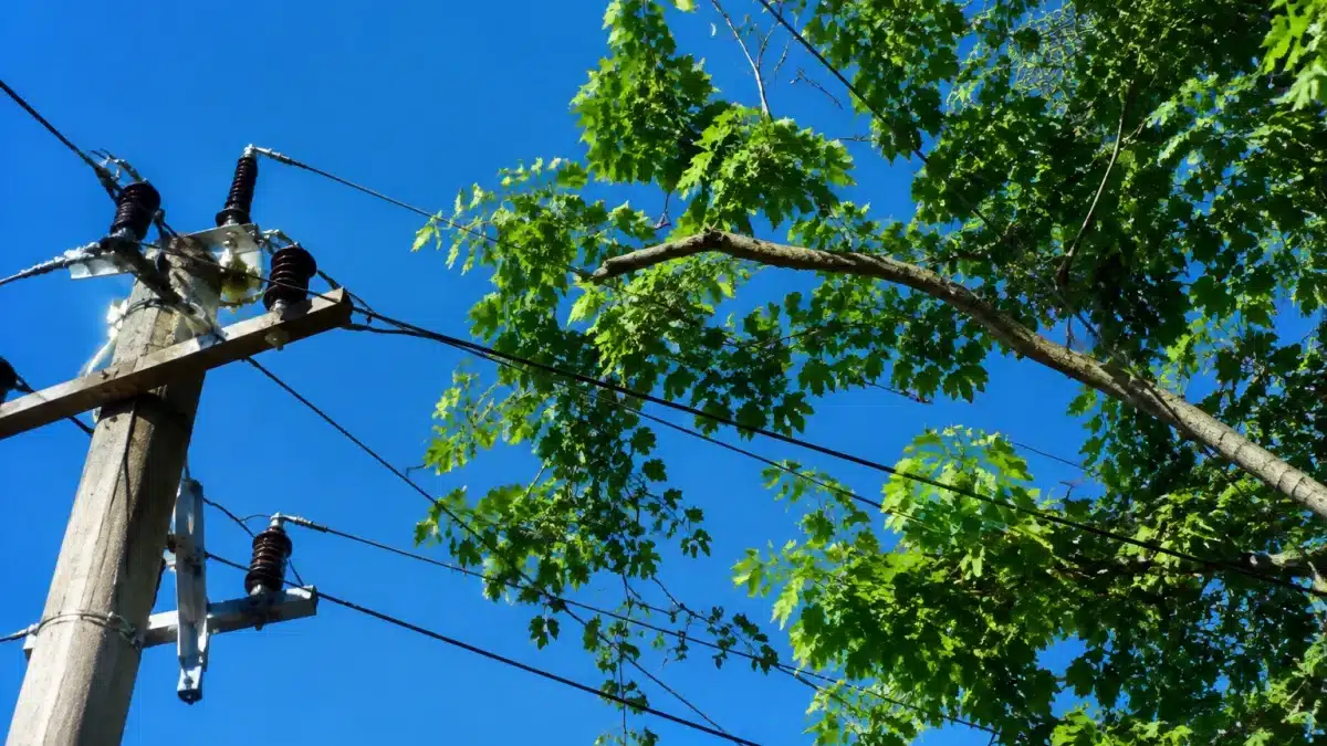 Branche d'arbre surcharge touchant fils electriques tension haute