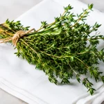 Brins verts arranges sur coton blanc plie