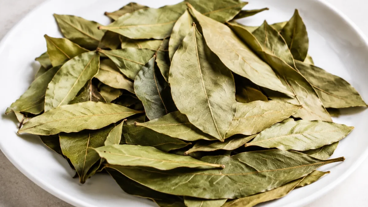 Feuilles laurier seches etendues sur plateau blanc