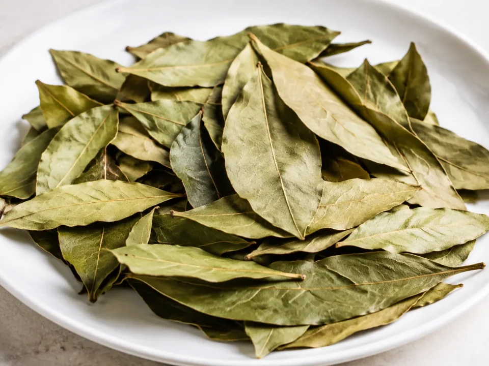 Feuilles laurier seches etendues sur plateau blanc