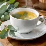 Tasse de porcelaine blanche contenant infusion fumante eucalyptus citron