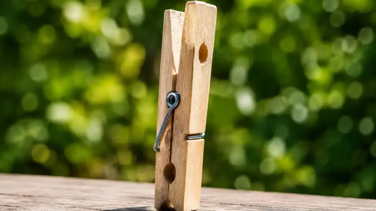 Pince a linge en bois avec deux trous alignes verticalement sur les cotes