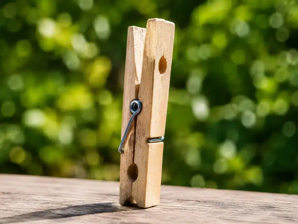 Pince a linge en bois avec deux trous alignes verticalement sur les cotes