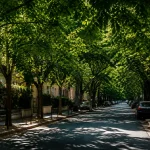 Vegetation feuillue couvrant voie urbaine creant zone sombre