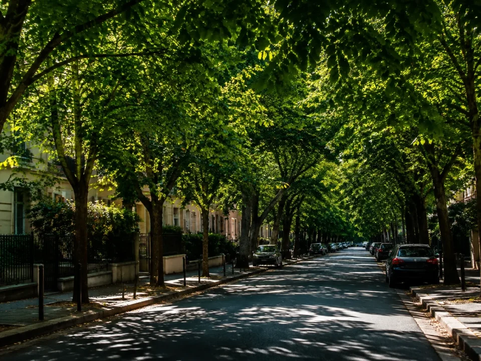 Vegetation feuillue couvrant voie urbaine creant zone sombre