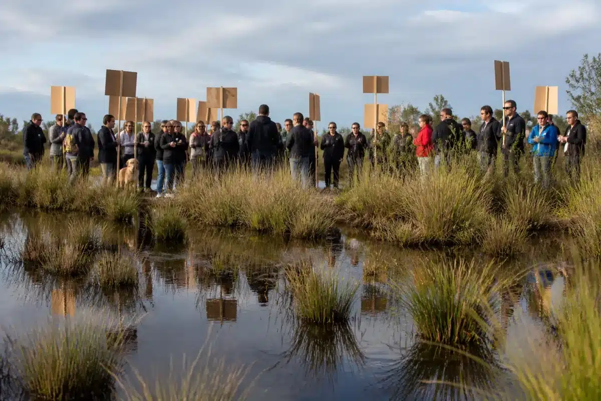 Zones humides avec eau stagnante et pancartes protestation