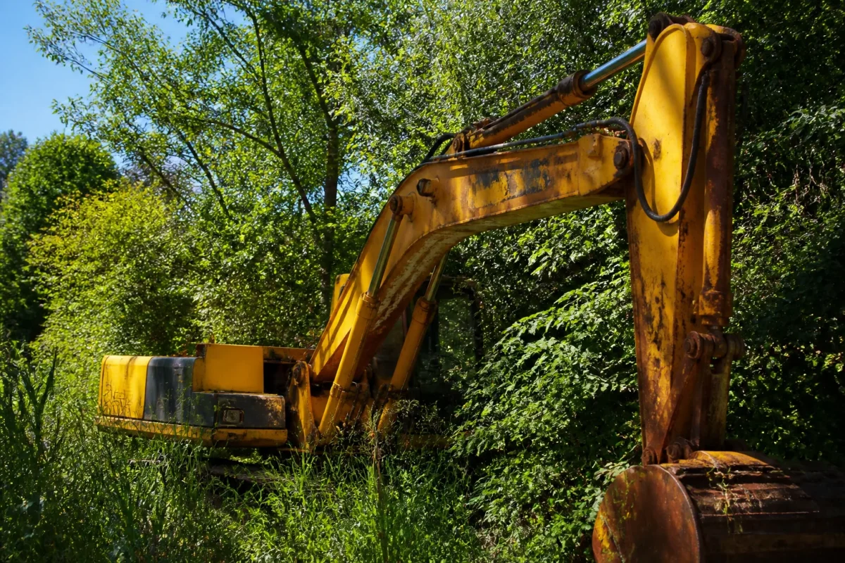 Engins de chantier immobiles parmi la vegetation